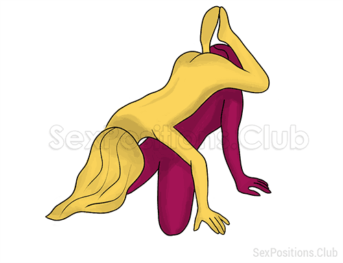 Posición sexual #343 - American Pie. (posición sexual 69, sexo oral). Kamasutra - Imágenes, fotos, ilustraciones