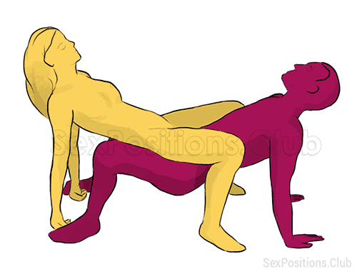 Sex position #184 - Spider. (cowgirl, reverse, woman on top). Kamasutra - Photo, picture, image