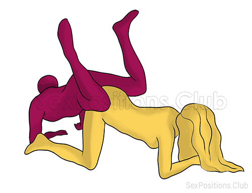 Sex position #334 - Fulcrum. (from behind, rear entry, reverse, man on top). Kamasutra - Photo, picture, image