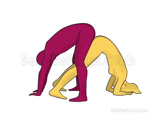 Sex position #279 - Russian roulette. (doggy style, from behind, rear entry, reverse, standing). Kamasutra - Photo, picture, image