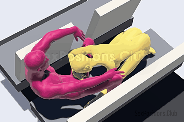 Blowjob sex position in car (top view)
